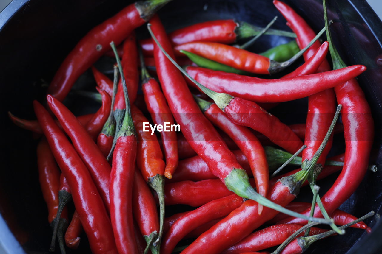 Close-up of red chili peppers