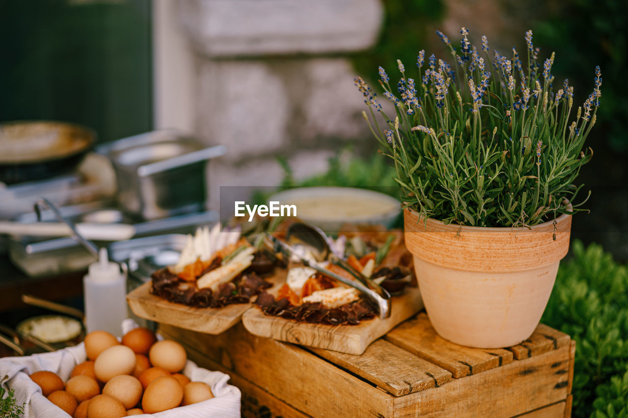 CLOSE-UP OF POTTED PLANT IN CONTAINER ON TABLE