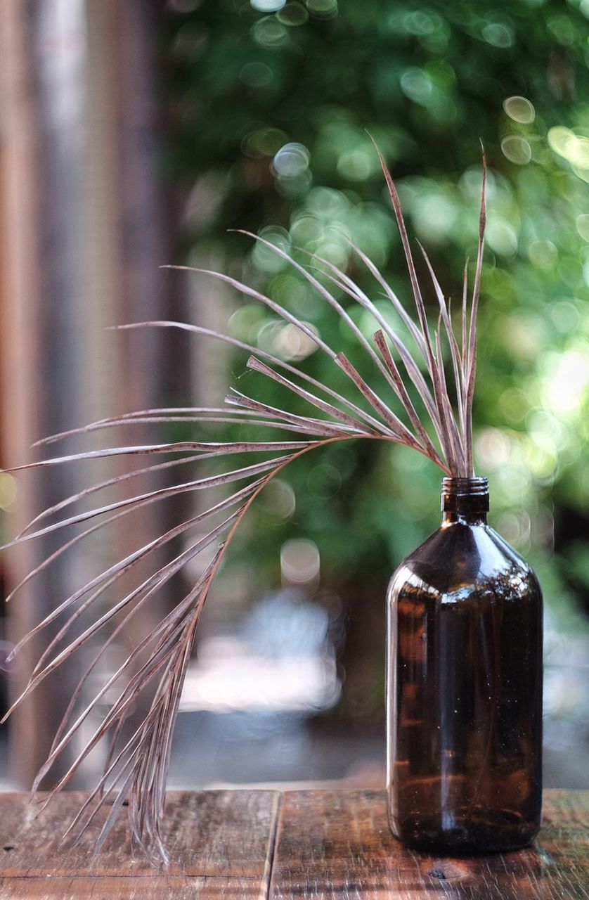 CLOSE-UP OF BOTTLES