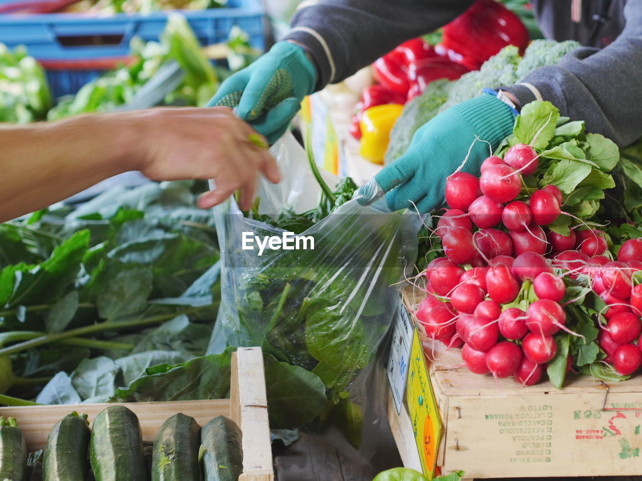 Cropped image of market vendor giving vegetables to customer