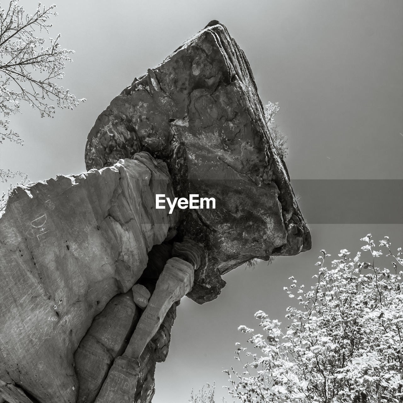 CLOSE-UP OF HUMAN HAND