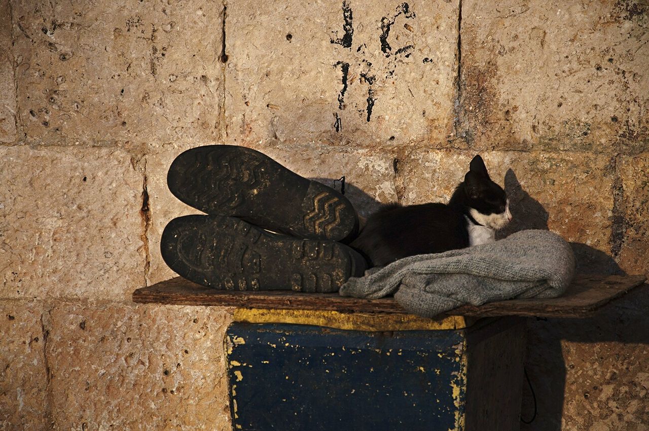 Stray cat sleeping on sweater by shoe against wall