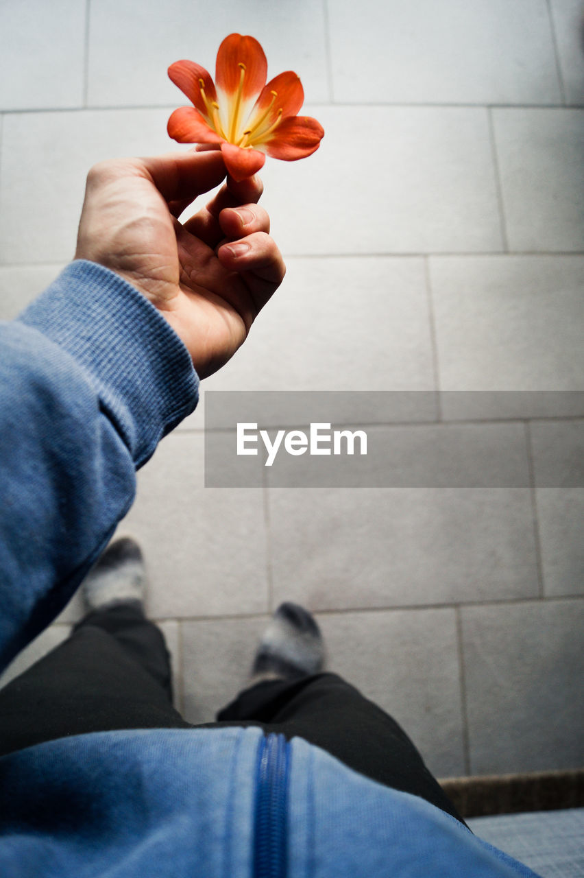 Cropped image of man holding flower against footpath