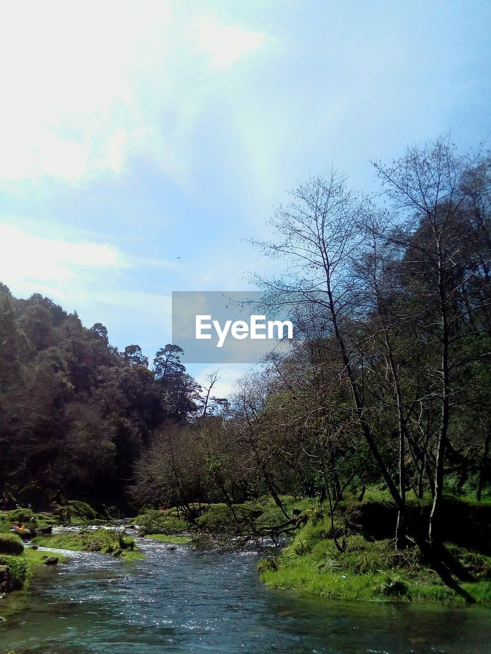 RIVER AMIDST TREES AGAINST SKY