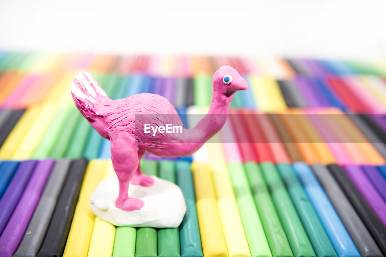 CLOSE-UP OF PARROT ON PINK TOY