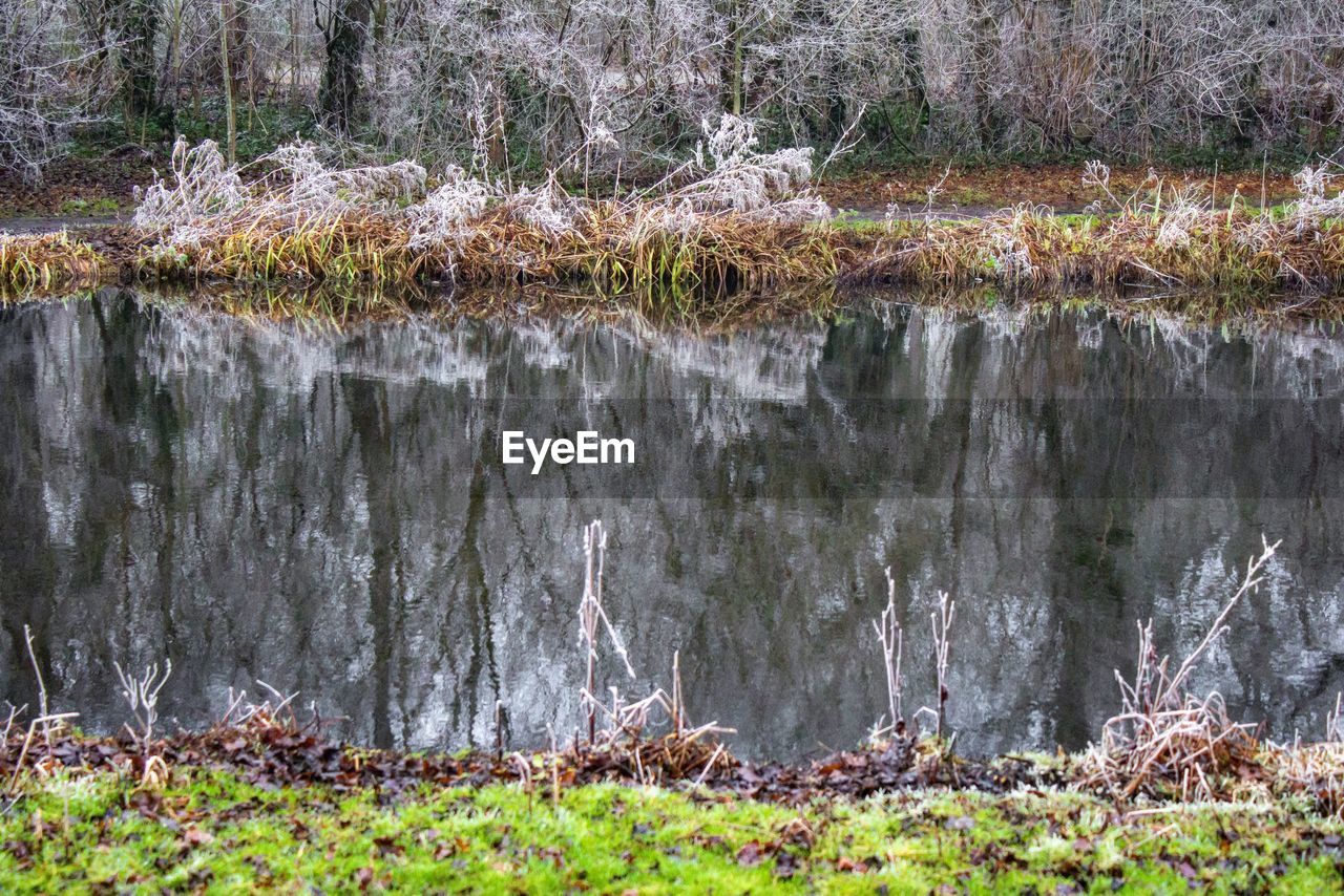 Scenic view of lake in forest during winter