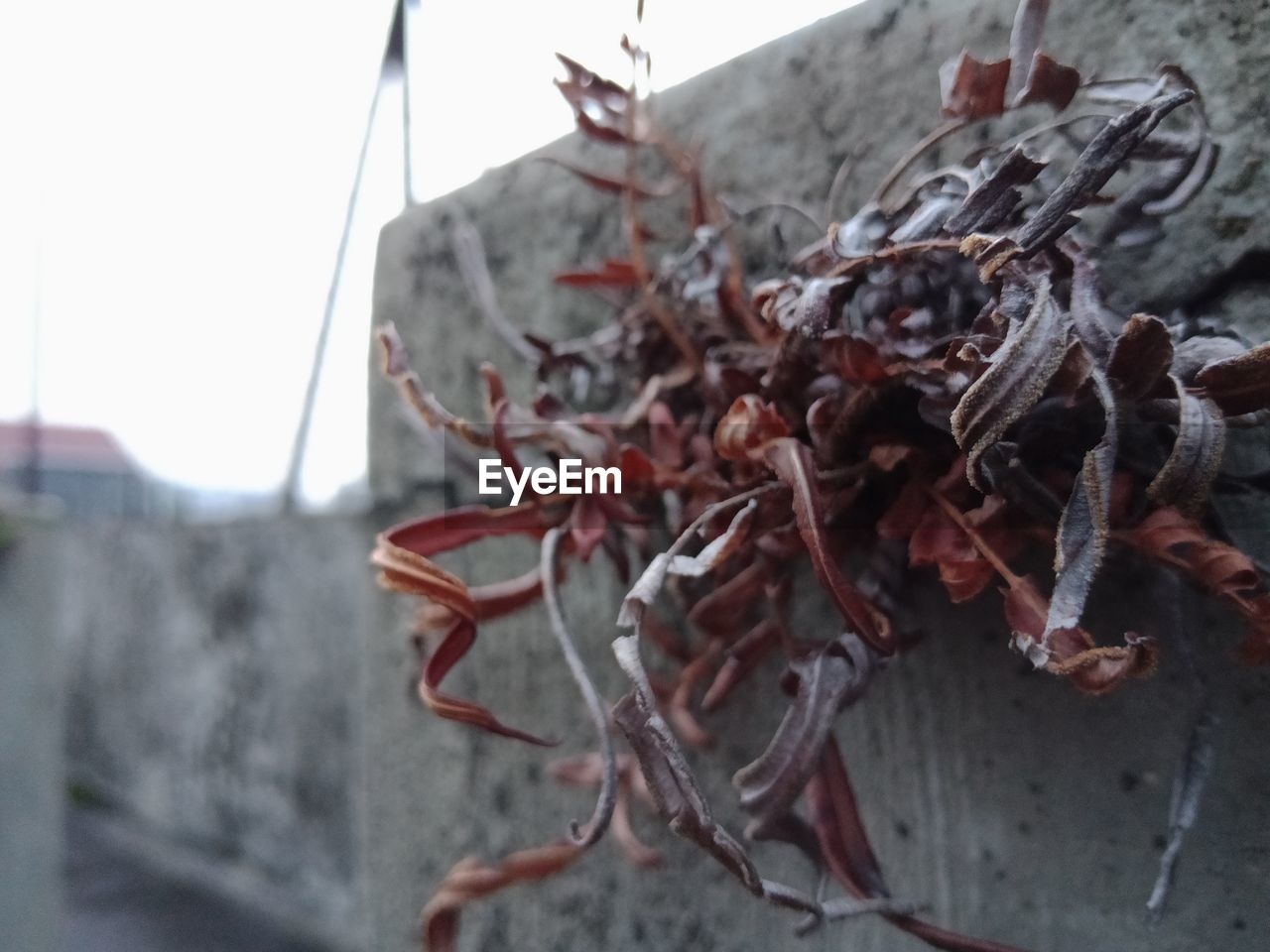 CLOSE-UP OF RUSTY METAL AGAINST SKY