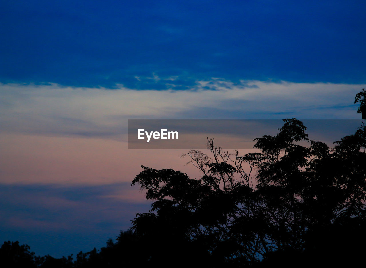 LOW ANGLE VIEW OF SILHOUETTE TREES AGAINST BLUE SKY AT SUNSET