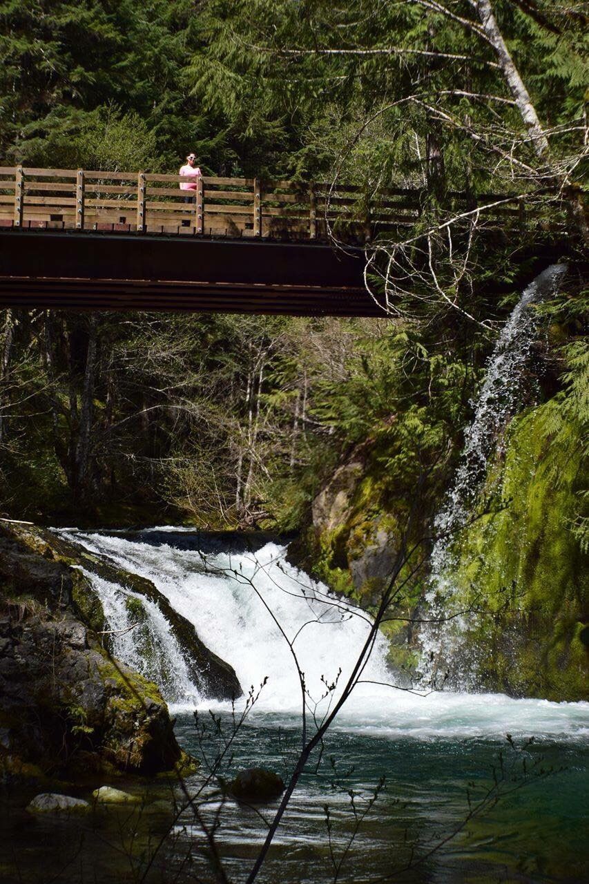 View of woman on bridge over river in forest