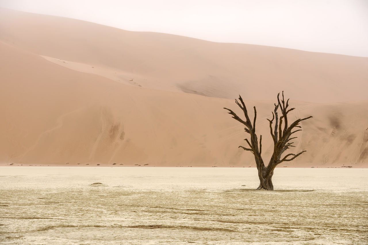 SCENIC VIEW OF DESERT AGAINST SKY DURING SUNRISE