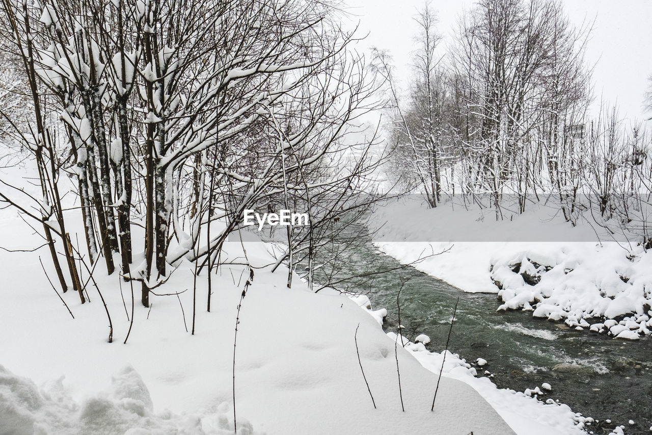 Bare trees on snow covered landscape against sky