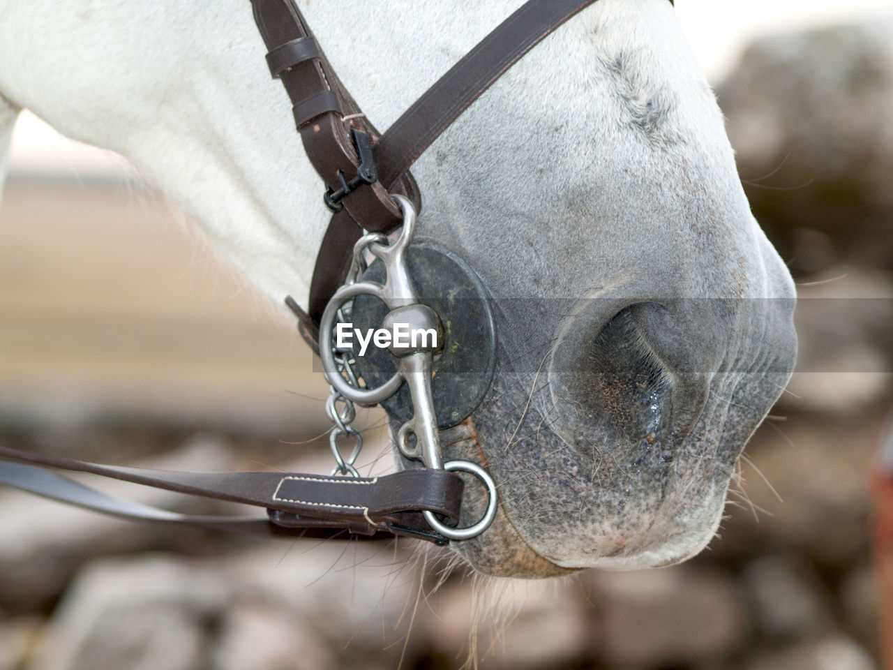 CLOSE UP OF CHAIN