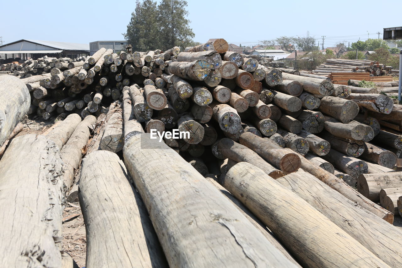 STACK OF FIREWOOD ON WOOD