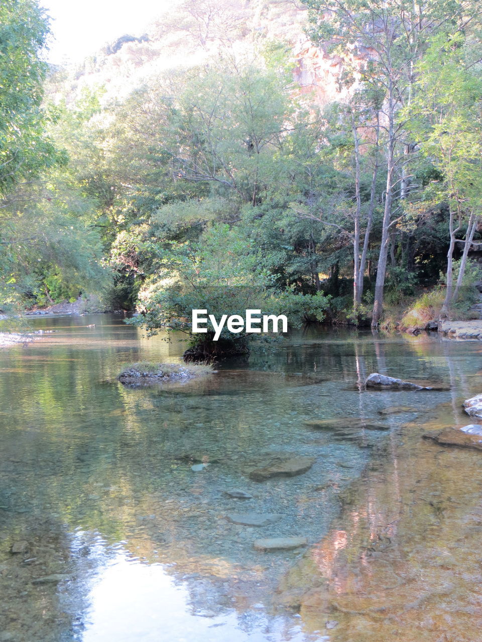 SCENIC VIEW OF LAKE