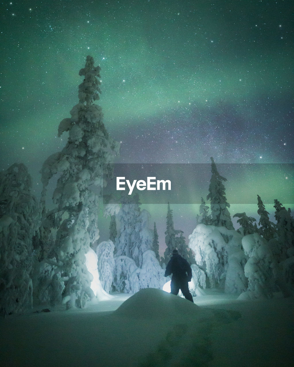 Rear view of man standing on snow against aurora borealis