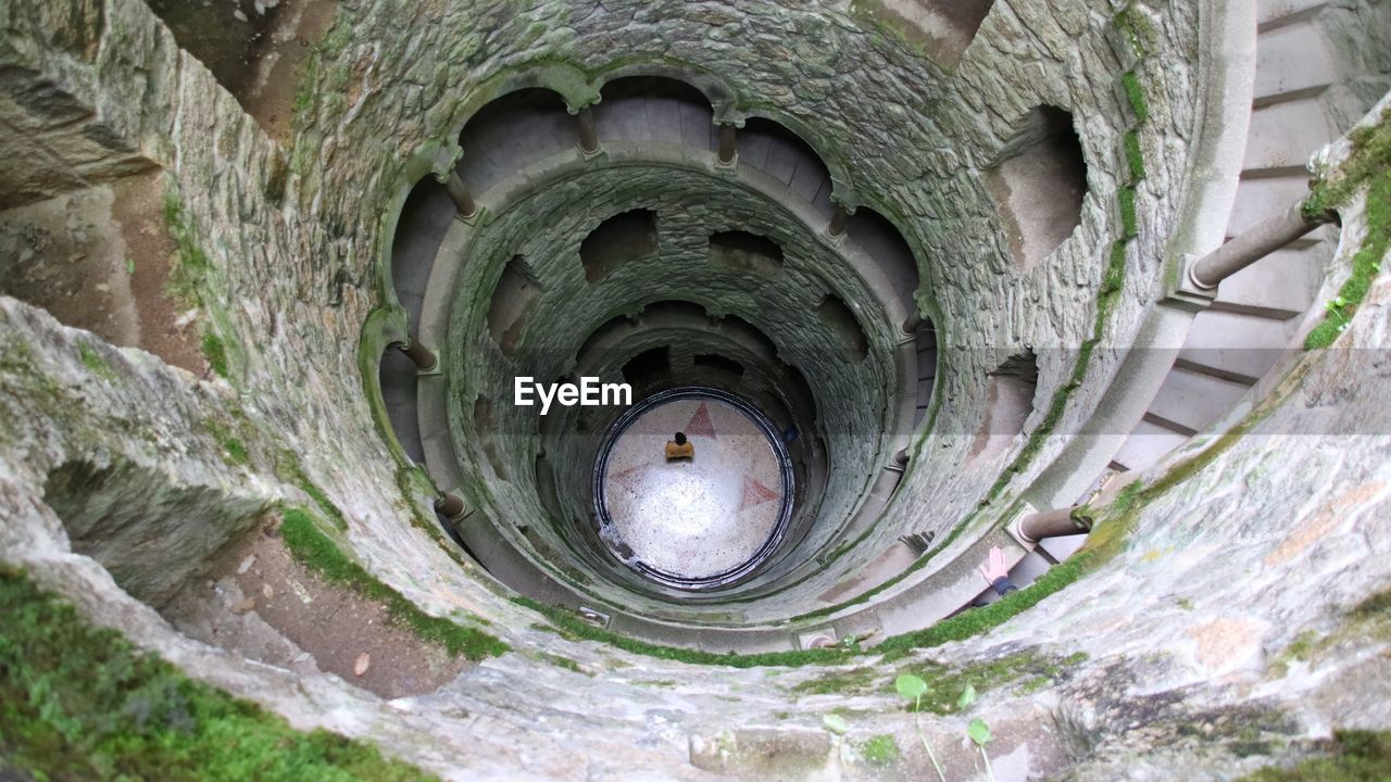 HIGH ANGLE VIEW OF OLD TREE TRUNK