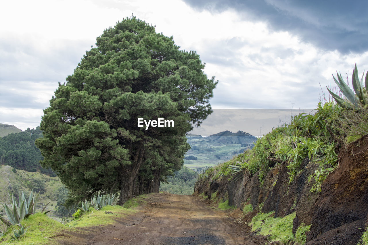 Scenic view of tree mountains against sky