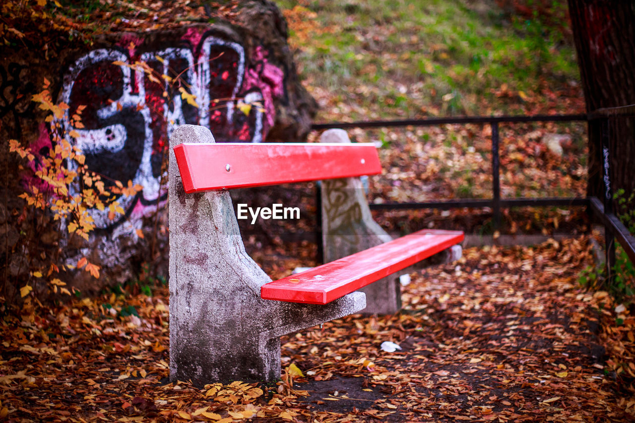 Empty wooden bench in park during autumn