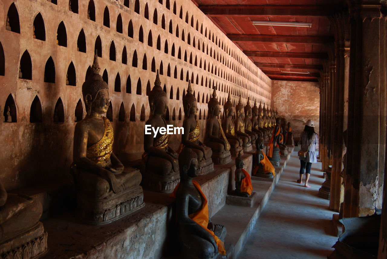 Buddha statues in row against wall