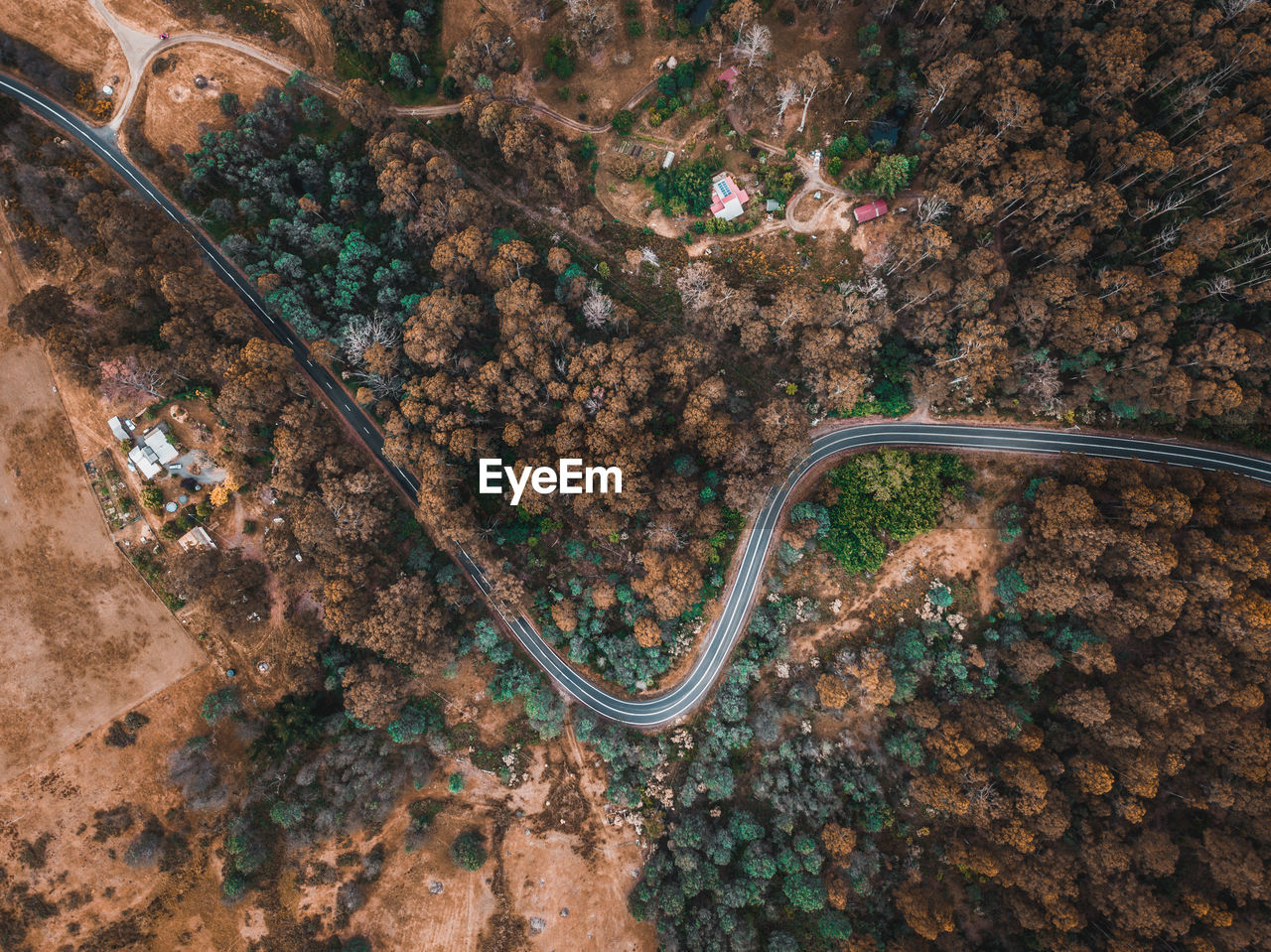 Aerial view of road amidst trees during autumn