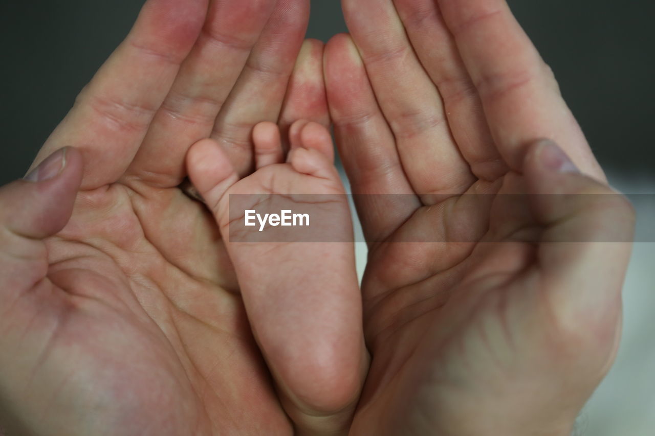 Cropped hands of person holding baby legs