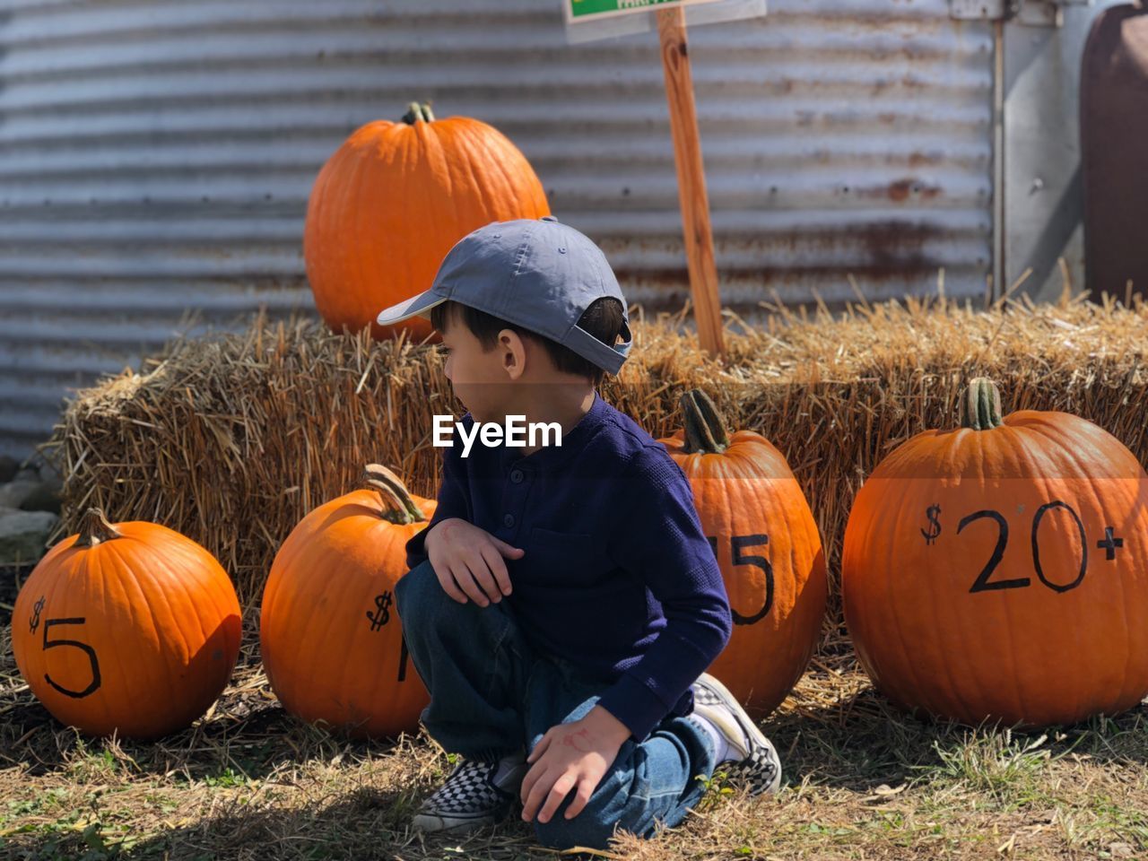 Boy looking at pumpkins for sale at farm