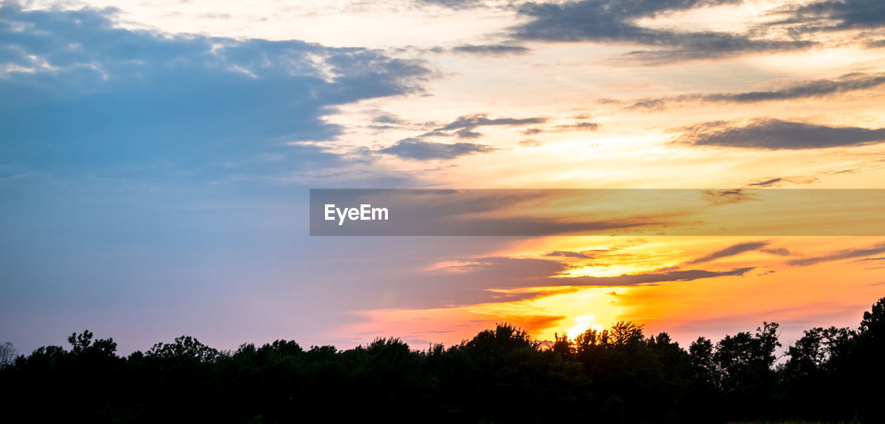 Silhouette trees against sky during sunset