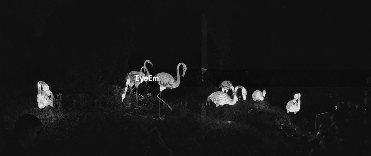 Panoramic view of illuminated artificial flamingoes at zoo