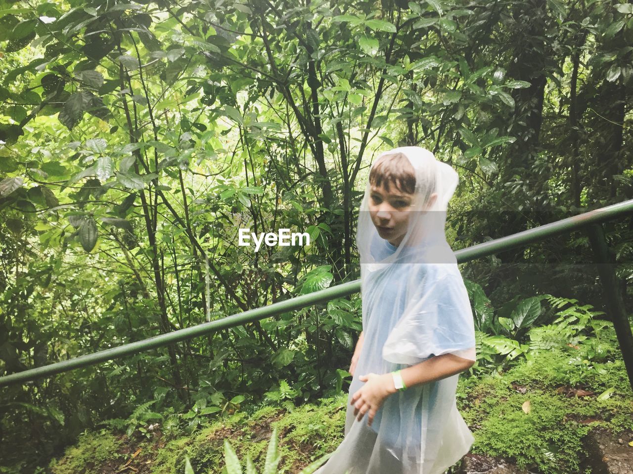 Portrait of young woman wearing raincoat in forest during rainy season
