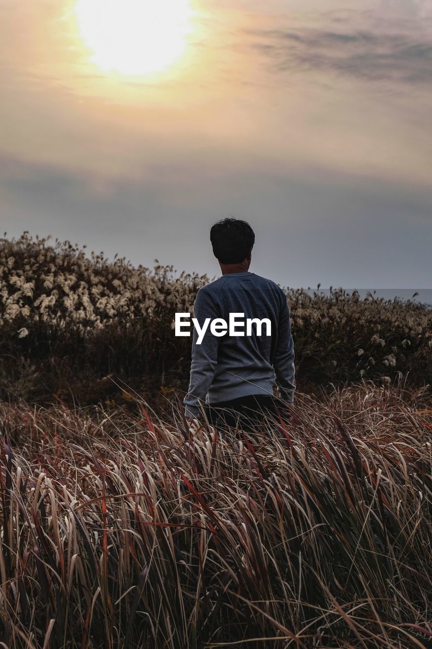 Rear view of man standing on field against sky during sunset