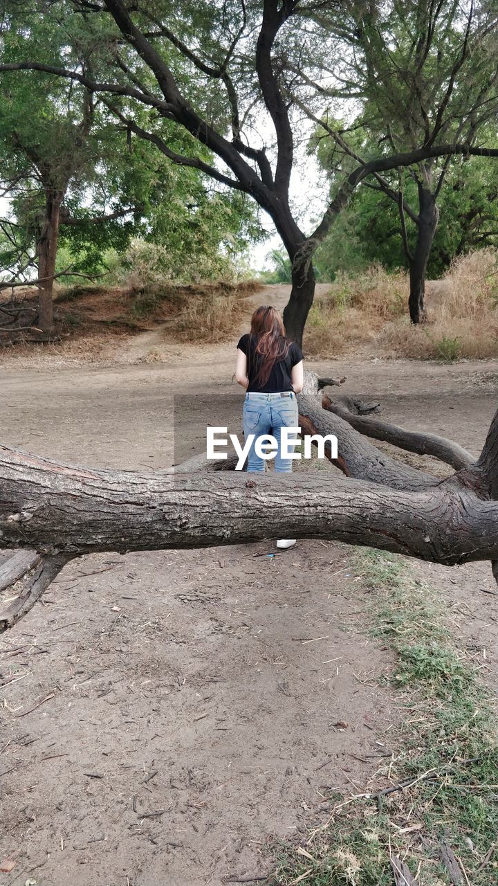 REAR VIEW OF WOMEN STANDING BY TREE