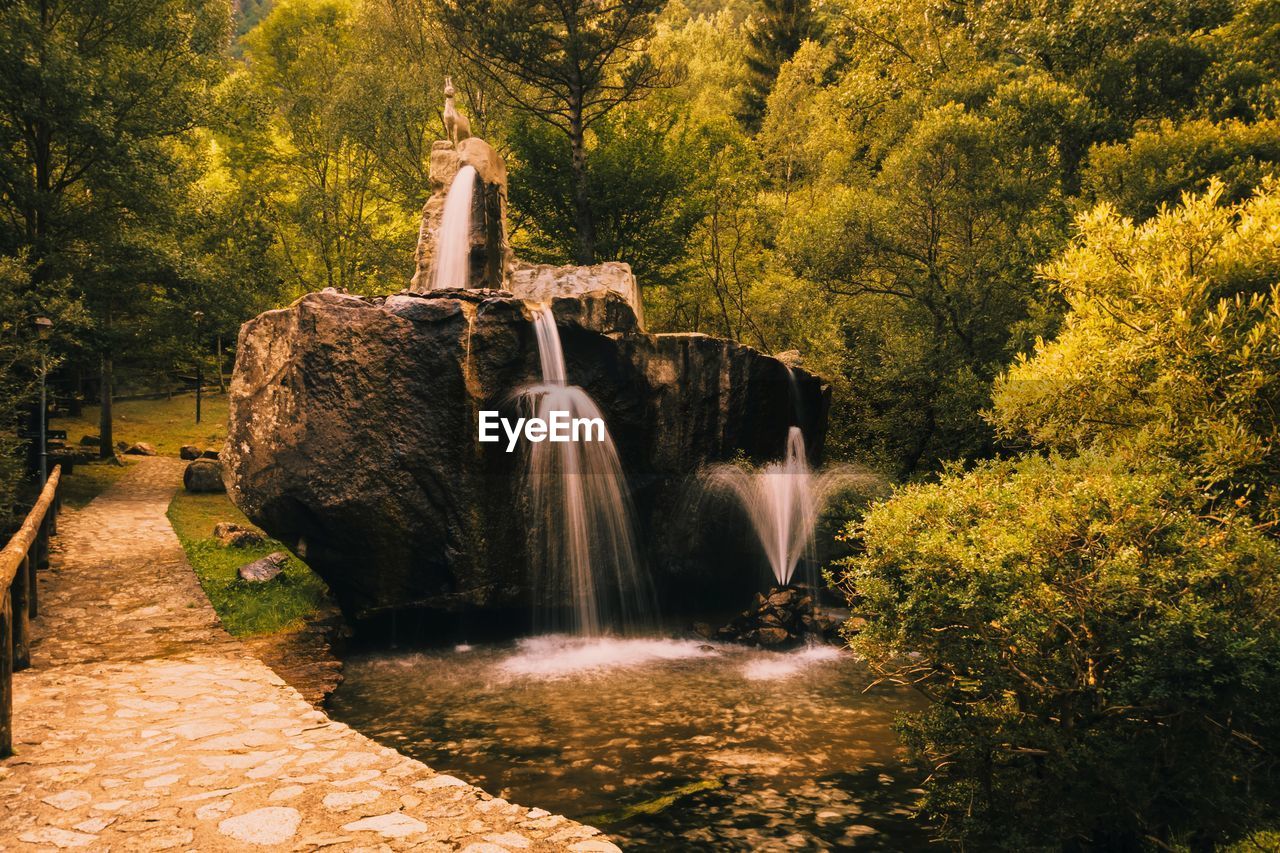 VIEW OF WATERFALL IN FOREST