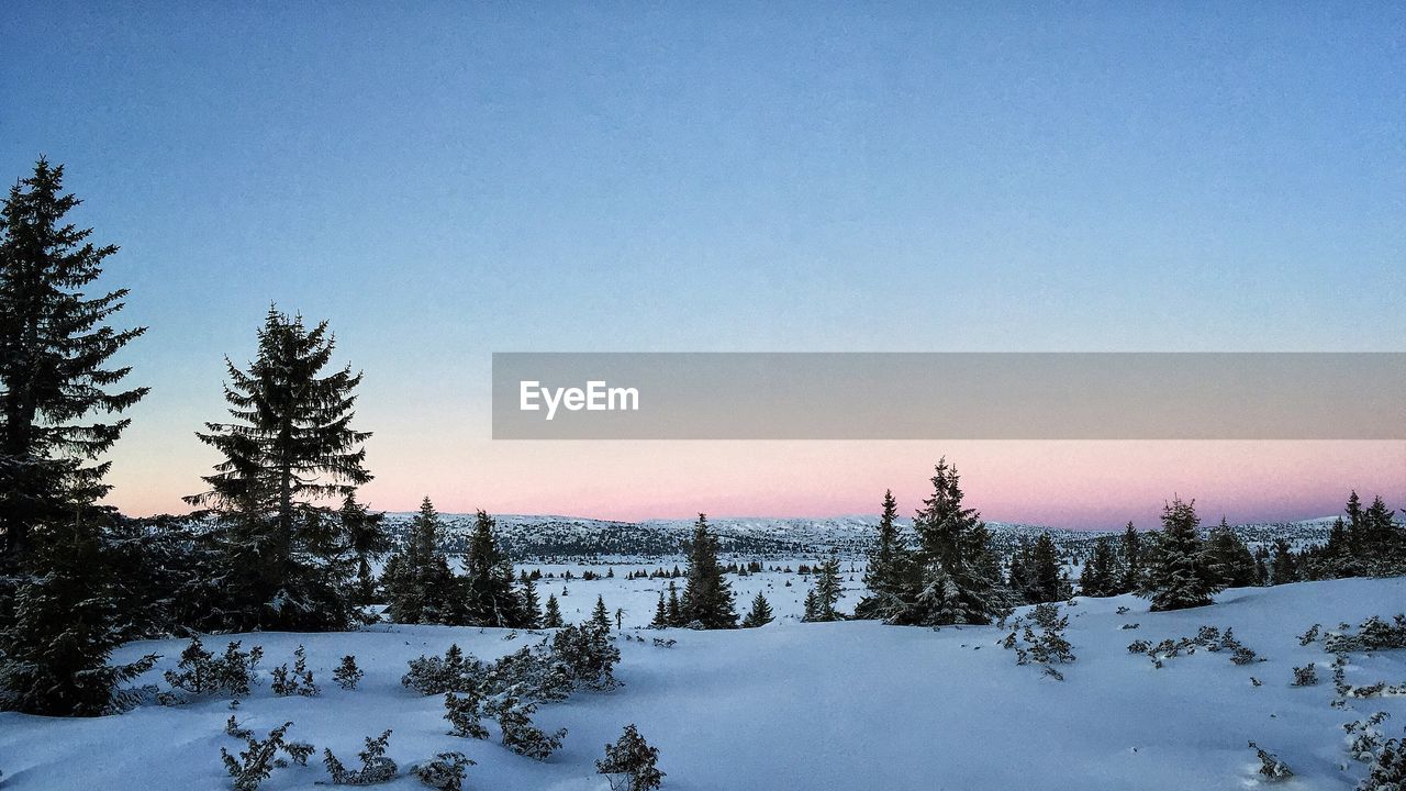 Scenic view of landscape against clear sky during winter