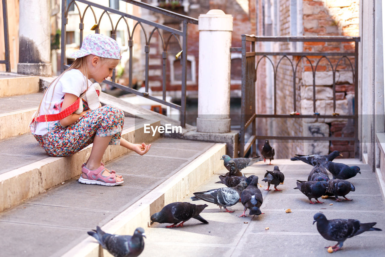 A little girl feeds pigeons. the girl is sitting on the stairs. a child in venice. 