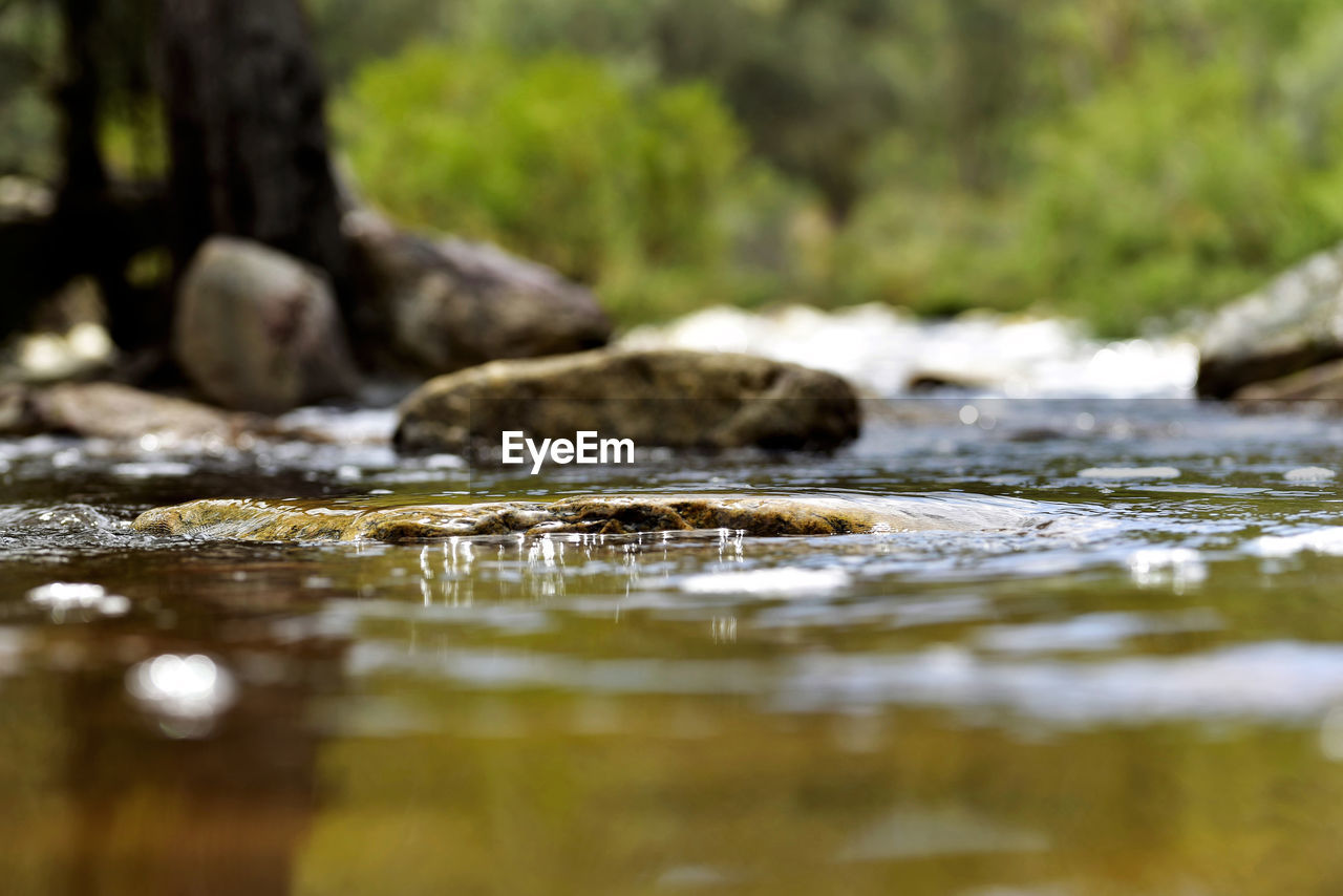 Close-up of water in river