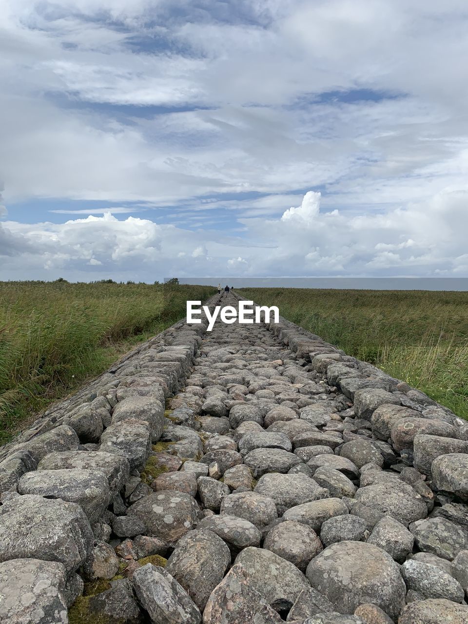 SURFACE LEVEL OF DIRT ROAD ALONG LANDSCAPE