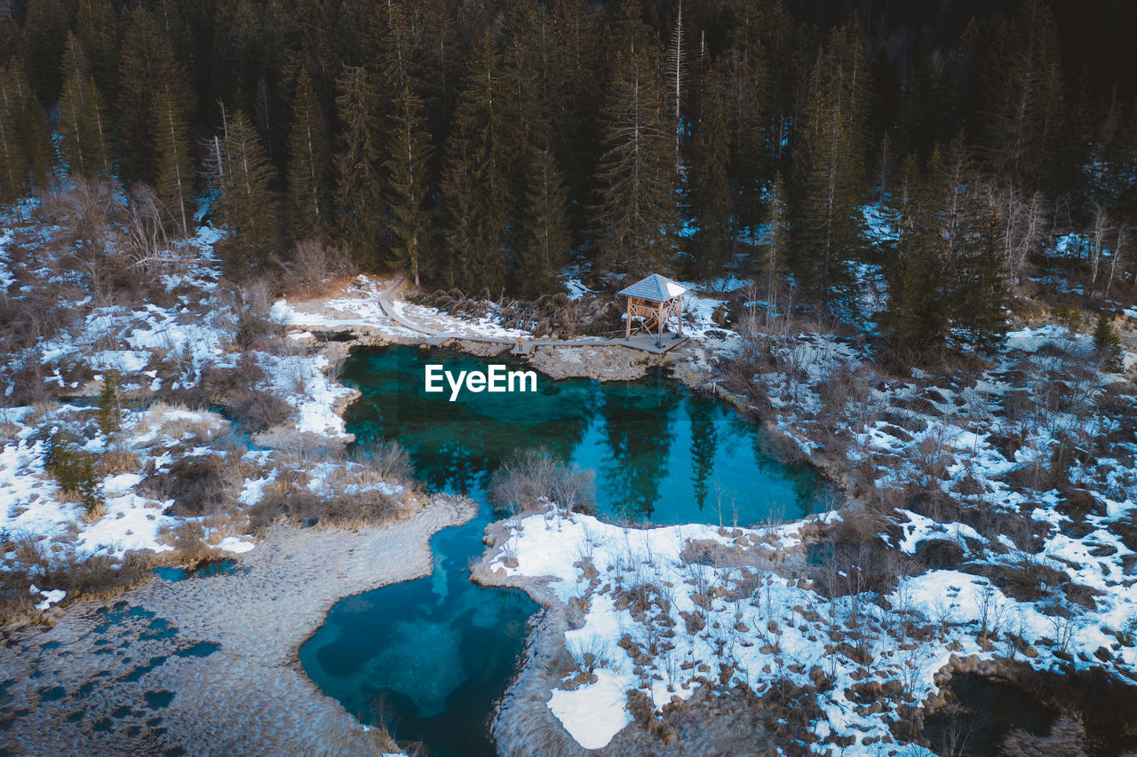 FROZEN LAKE IN FOREST DURING WINTER