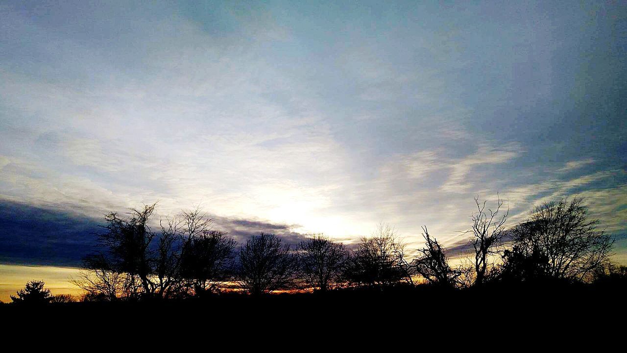 SILHOUETTE OF TREES AGAINST SKY AT SUNSET