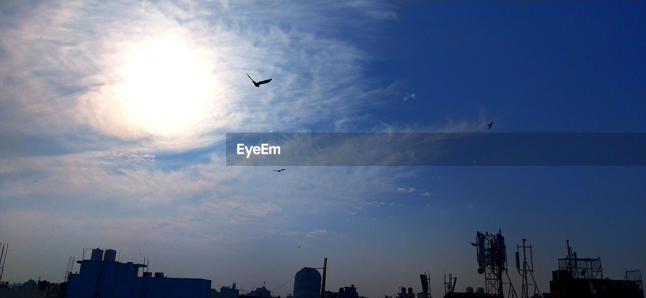 LOW ANGLE VIEW OF SILHOUETTE BIRDS FLYING OVER BUILDINGS IN CITY