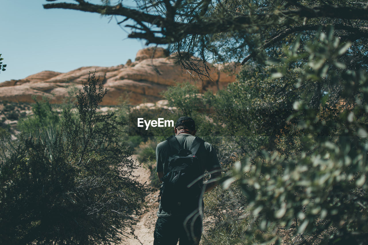 Rear view of man hiking in desert