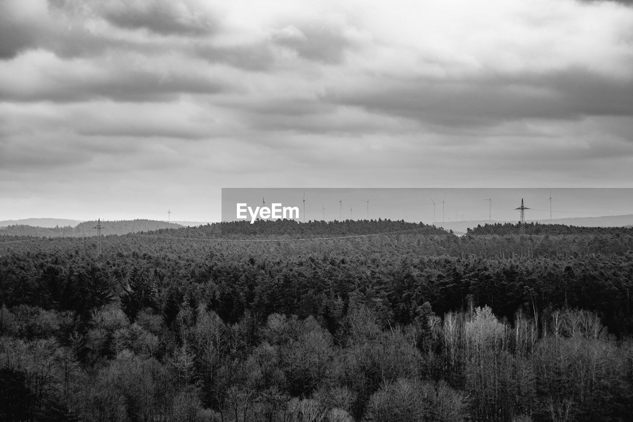 environment, sky, landscape, nature, plant, cloud, black and white, horizon, tree, land, monochrome, monochrome photography, field, beauty in nature, scenics - nature, rural area, environmental conservation, agriculture, no people, tranquility, hill, growth, rural scene, tranquil scene, grass, non-urban scene, outdoors, power generation, day, morning, social issues, forest, crop, horizon over land, wind turbine, turbine, renewable energy