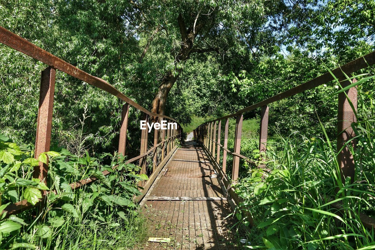 Footbridge amidst trees on sunny day