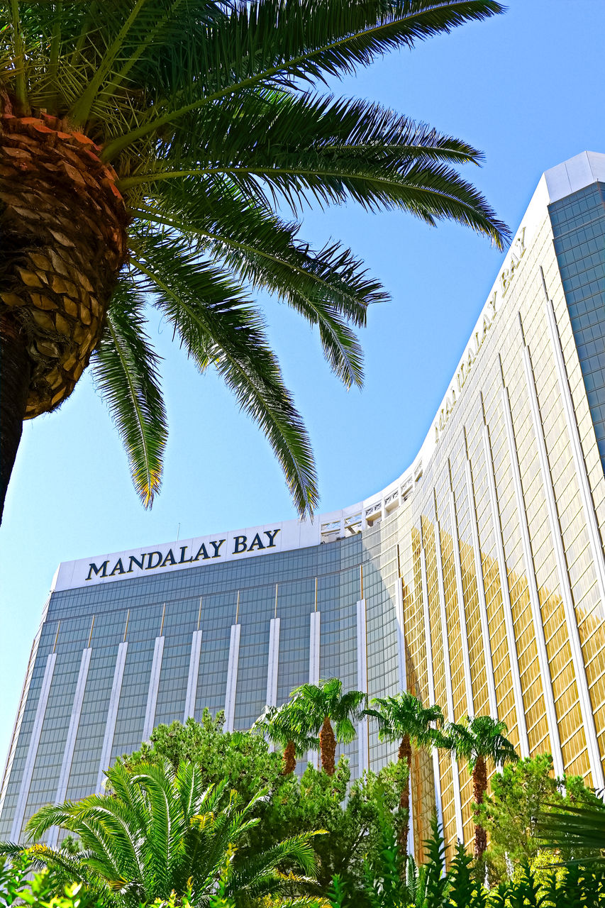 LOW ANGLE VIEW OF PALM TREES AND MODERN BUILDING