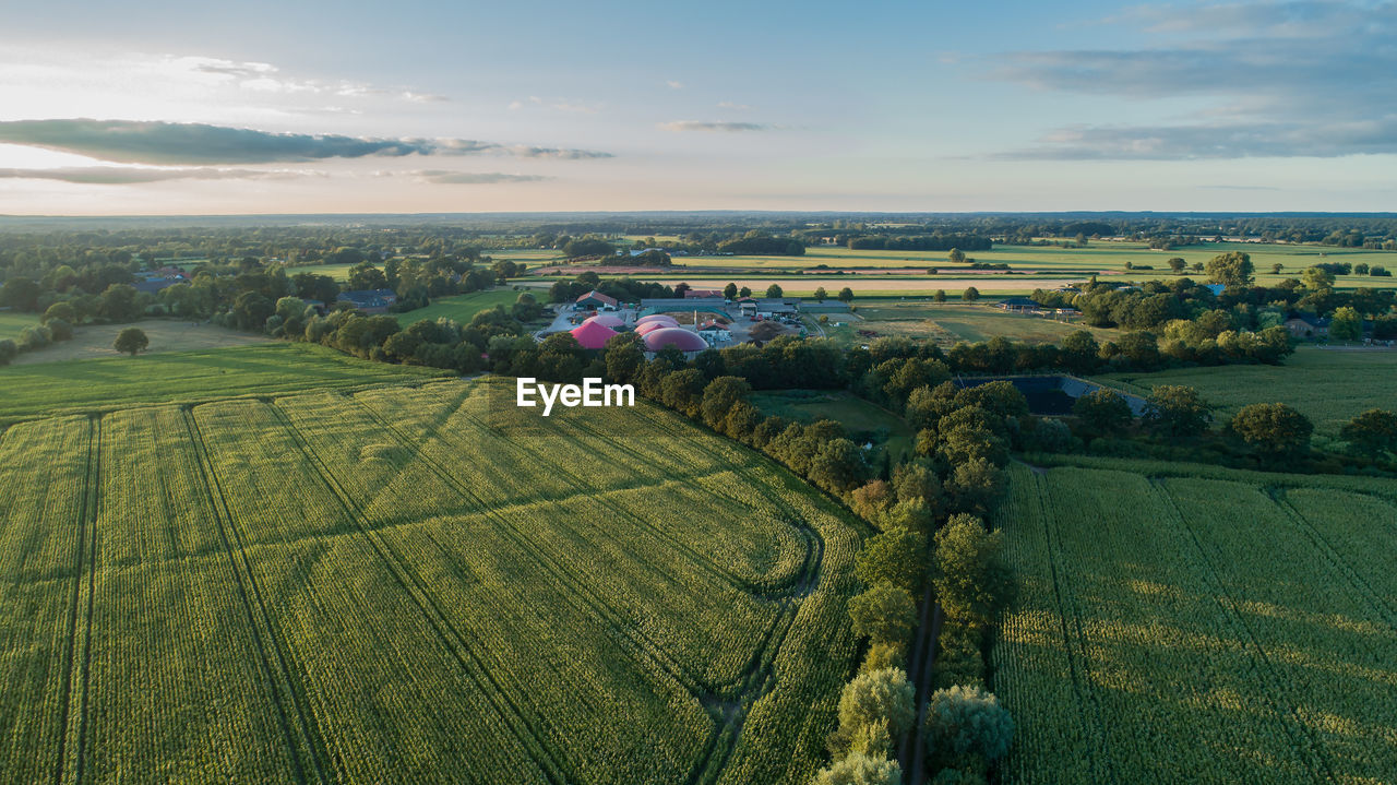 PANORAMIC SHOT OF AGRICULTURAL FIELD AGAINST SKY