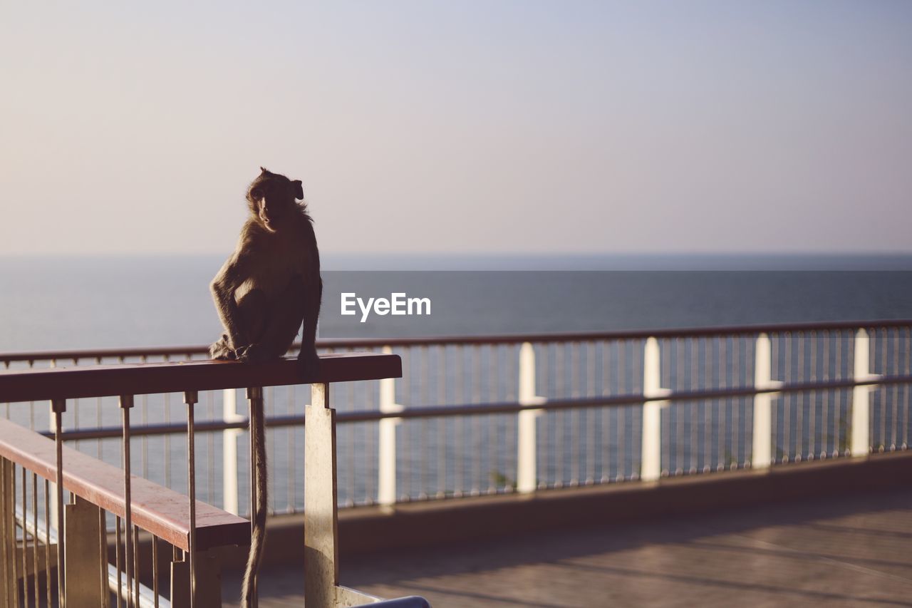 VIEW OF PIER SITTING ON SEA AGAINST SKY