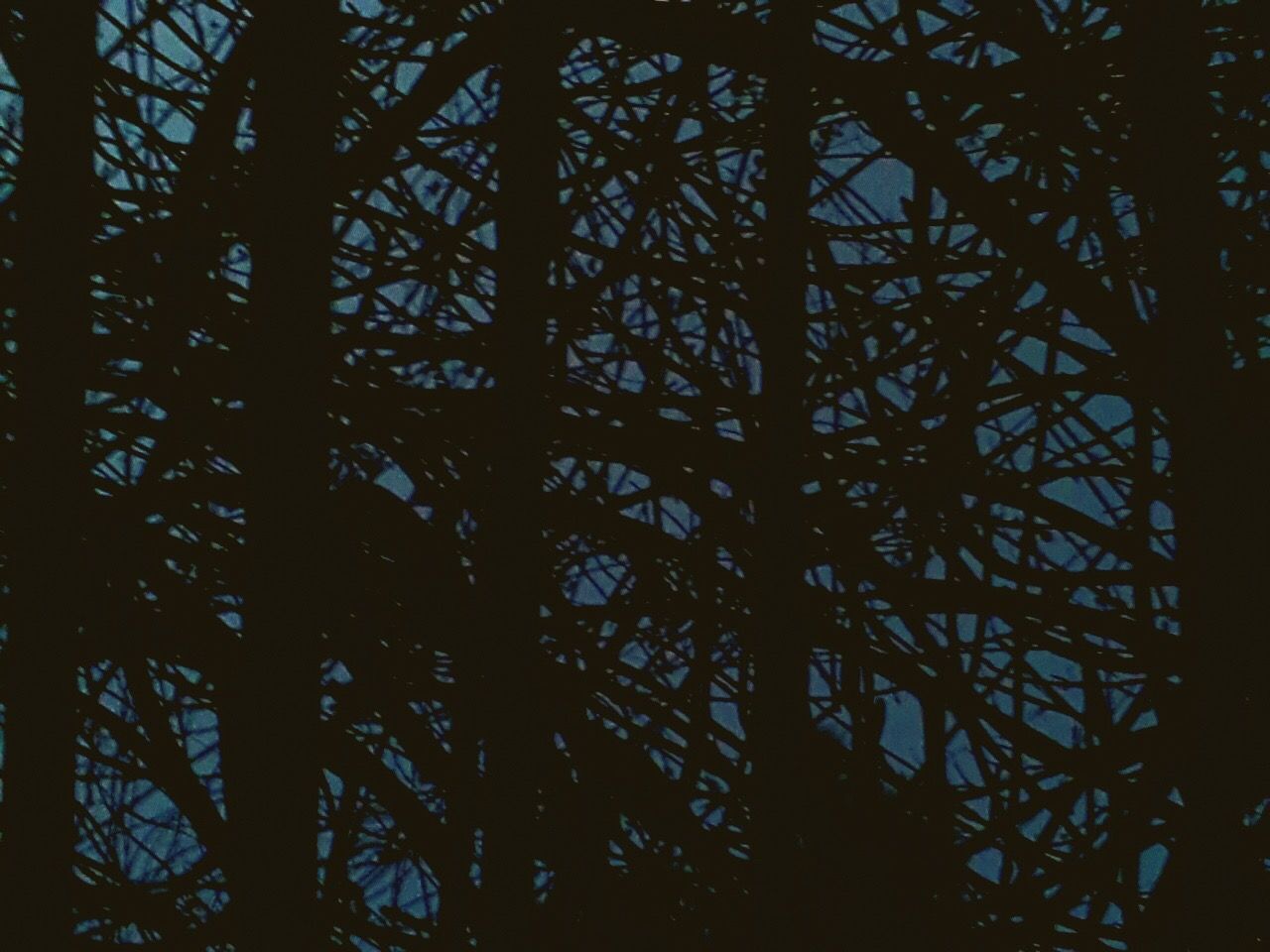 LOW ANGLE VIEW OF BARE TREES AGAINST SKY