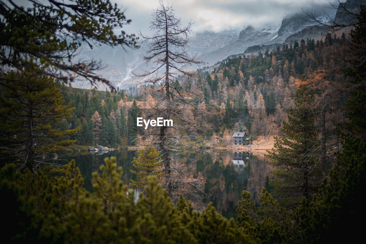 Cabin in the woods at mountain lake reedsee in the austrian alps in gastein in  moody fall colors