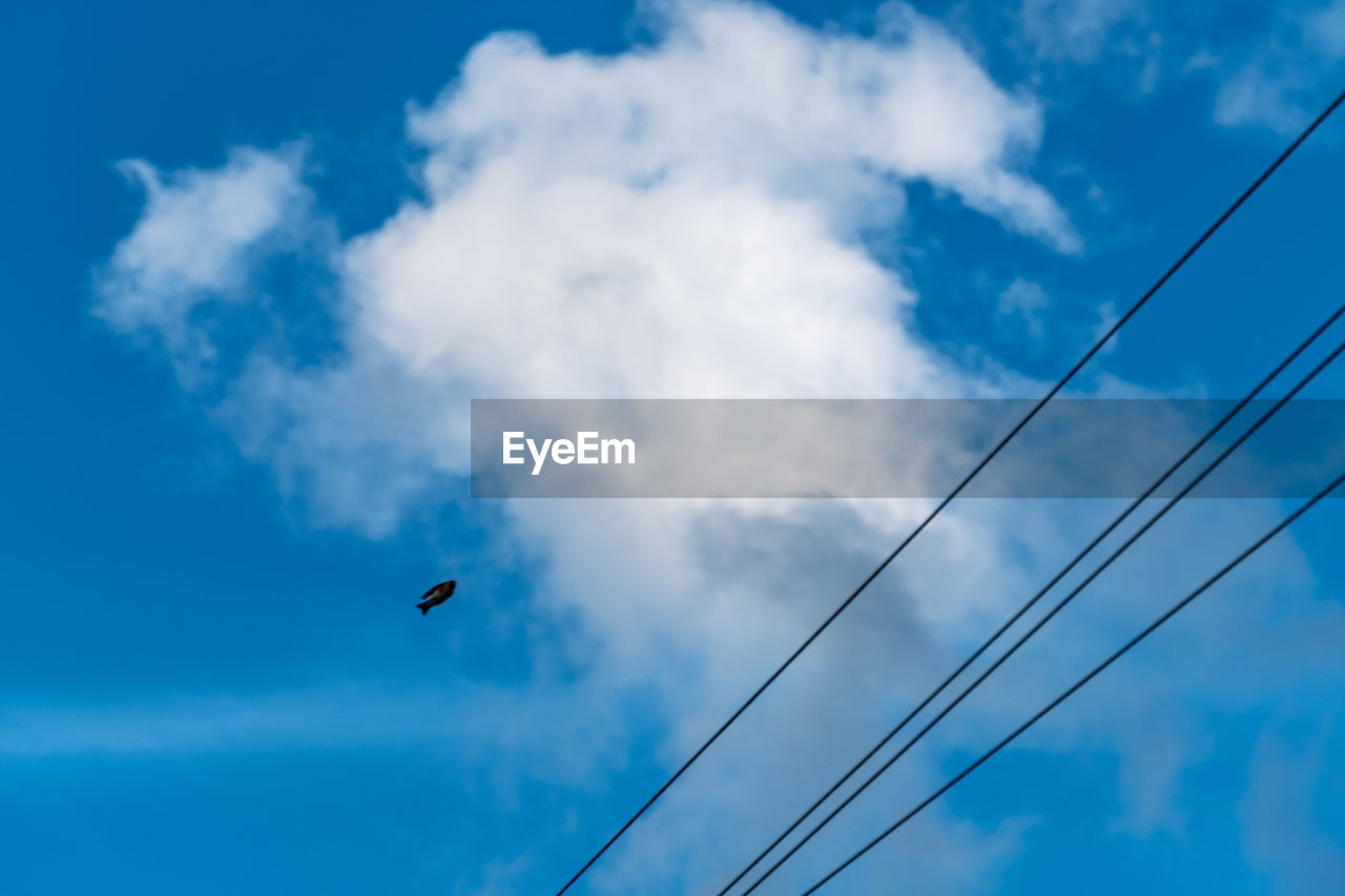 LOW ANGLE VIEW OF AIRPLANE FLYING AGAINST SKY