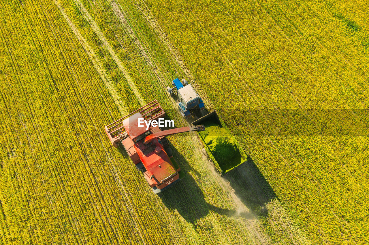 HIGH ANGLE VIEW OF TRACTOR ON FIELD DURING YELLOW