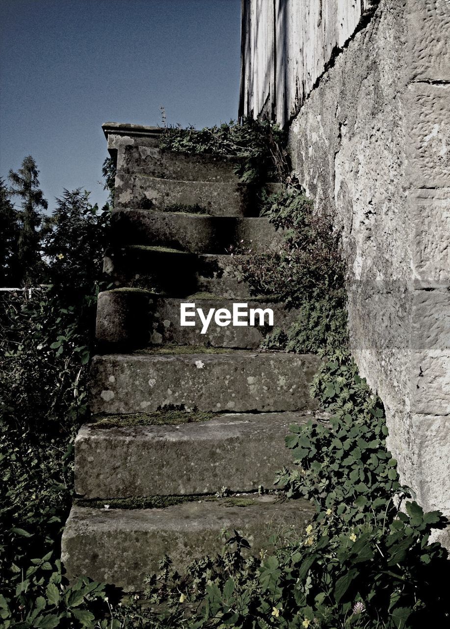 LOW ANGLE VIEW OF STONE WALL